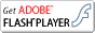 Adobe Flash Player�����