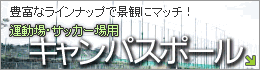 キャンパスポール（運動場・サッカー場用）