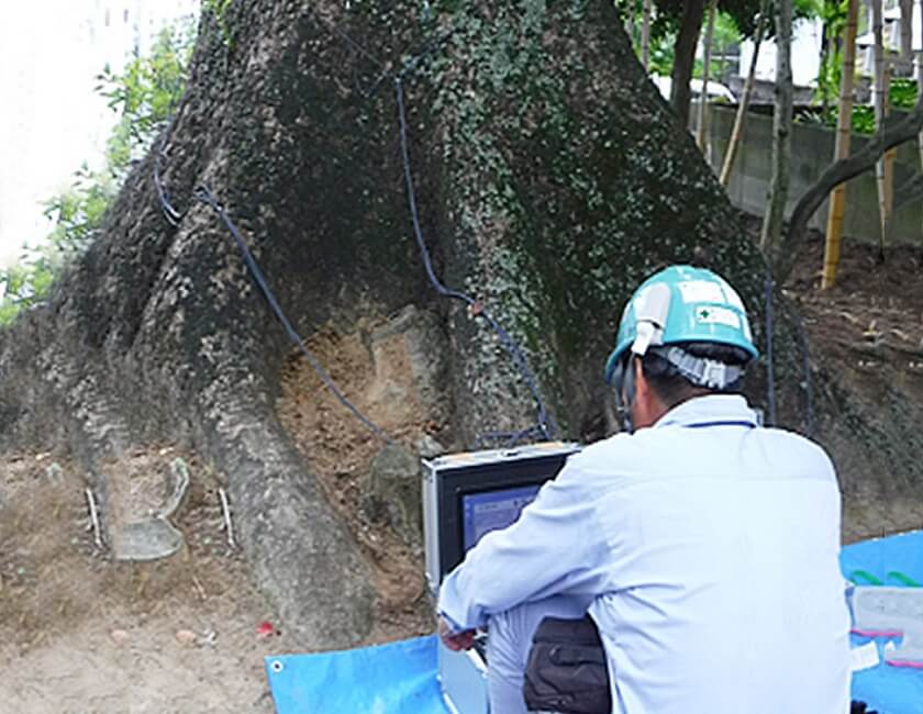 植栽基盤診断