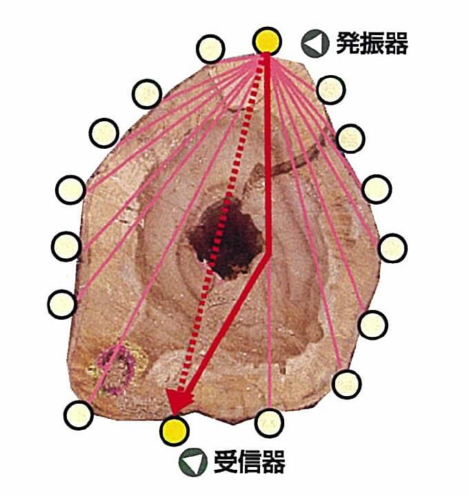 現場計測（日比谷公園）